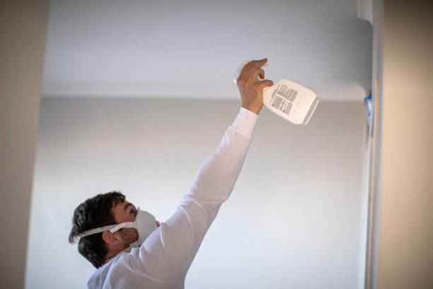 Best Toxic Mold Removal  in Evans, CO